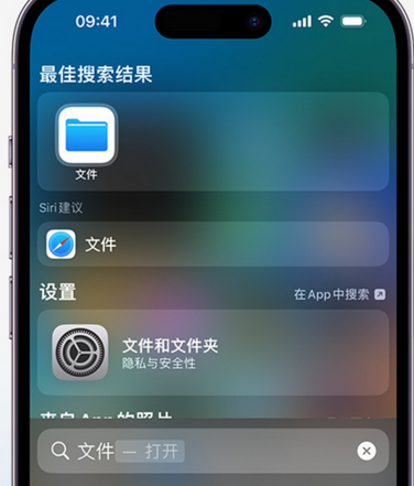 东胜apple维修中心分享iPhone文件应用中存储和找到下载文件 