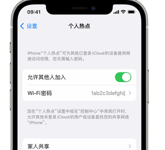 东胜apple服务站点分享iPhone上个人热点丢失了怎么办 