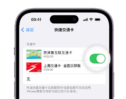 东胜apple维修点分享iPhone上更换Apple Pay快捷交通卡手绘卡面 