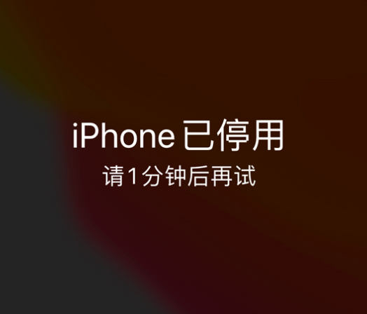 东胜苹果手机维修分享:iPhone 显示“不可用”或“已停用”怎么办？还能保留数据吗？ 