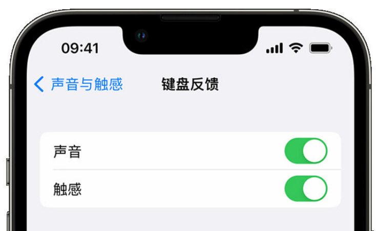 东胜苹果手机维修分享iPhone 14触感键盘使用方法 