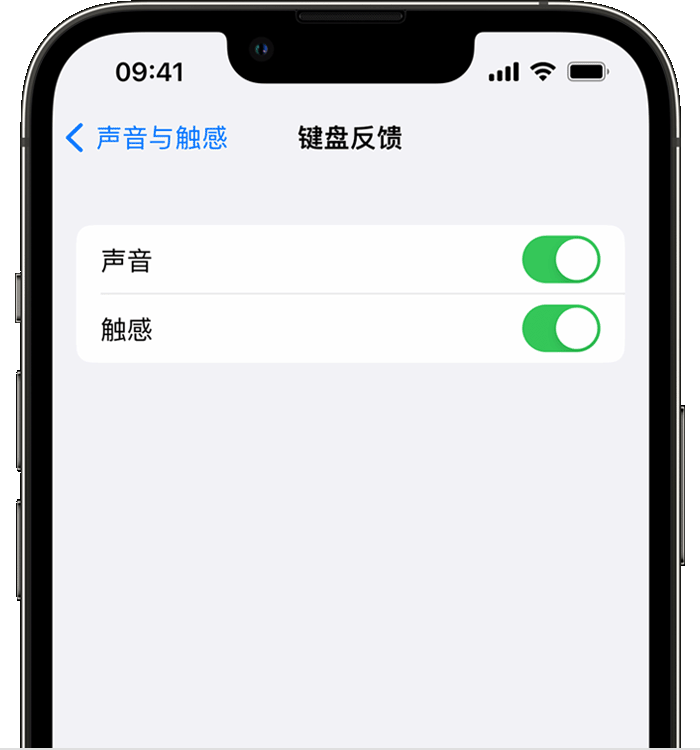 东胜苹果14维修店分享如何在 iPhone 14 机型中使用触感键盘 