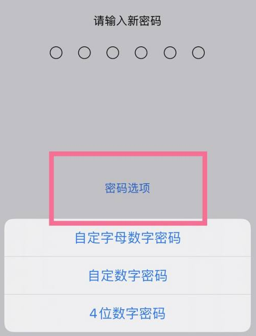 东胜苹果14维修分享iPhone 14plus设置密码的方法 