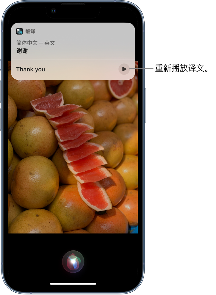 东胜苹果14维修分享 iPhone 14 机型中使用 Siri：了解 Siri 能帮你做什么 