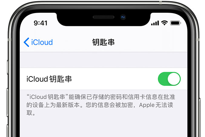 东胜苹果手机维修分享在 iPhone 上开启 iCloud 钥匙串之后会储存哪些信息 