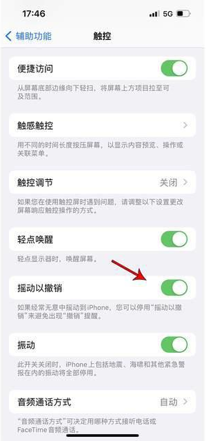 东胜苹果手机维修分享iPhone手机如何设置摇一摇删除文字 